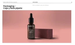 Manual de marca: qué debe incluir y ejemplos en PDF